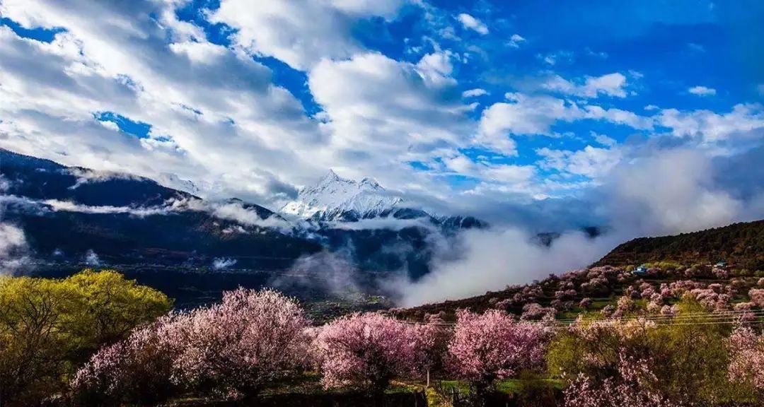 峡内忆行春_芦台春内供酒_春天国内旅游