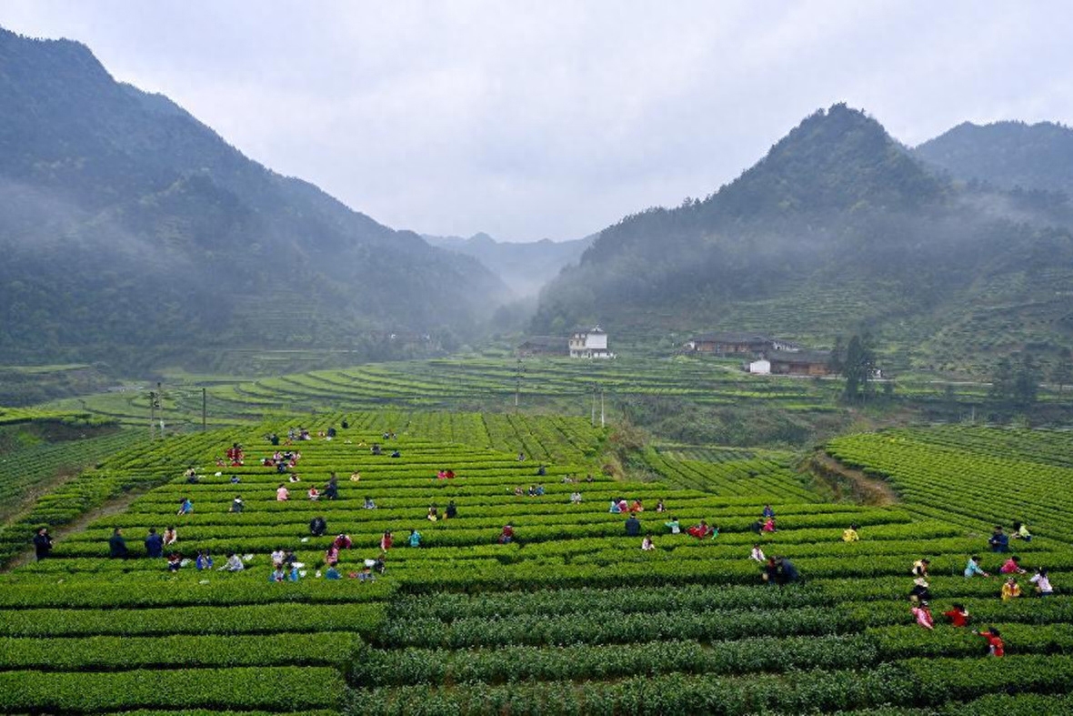 重庆至恩施旅游_恩施到重庆中途旅游景点_重庆到恩施旅游攻略