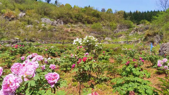 芜湖好玩儿的_芜湖好玩的地方_好玩芜湖地方排行榜