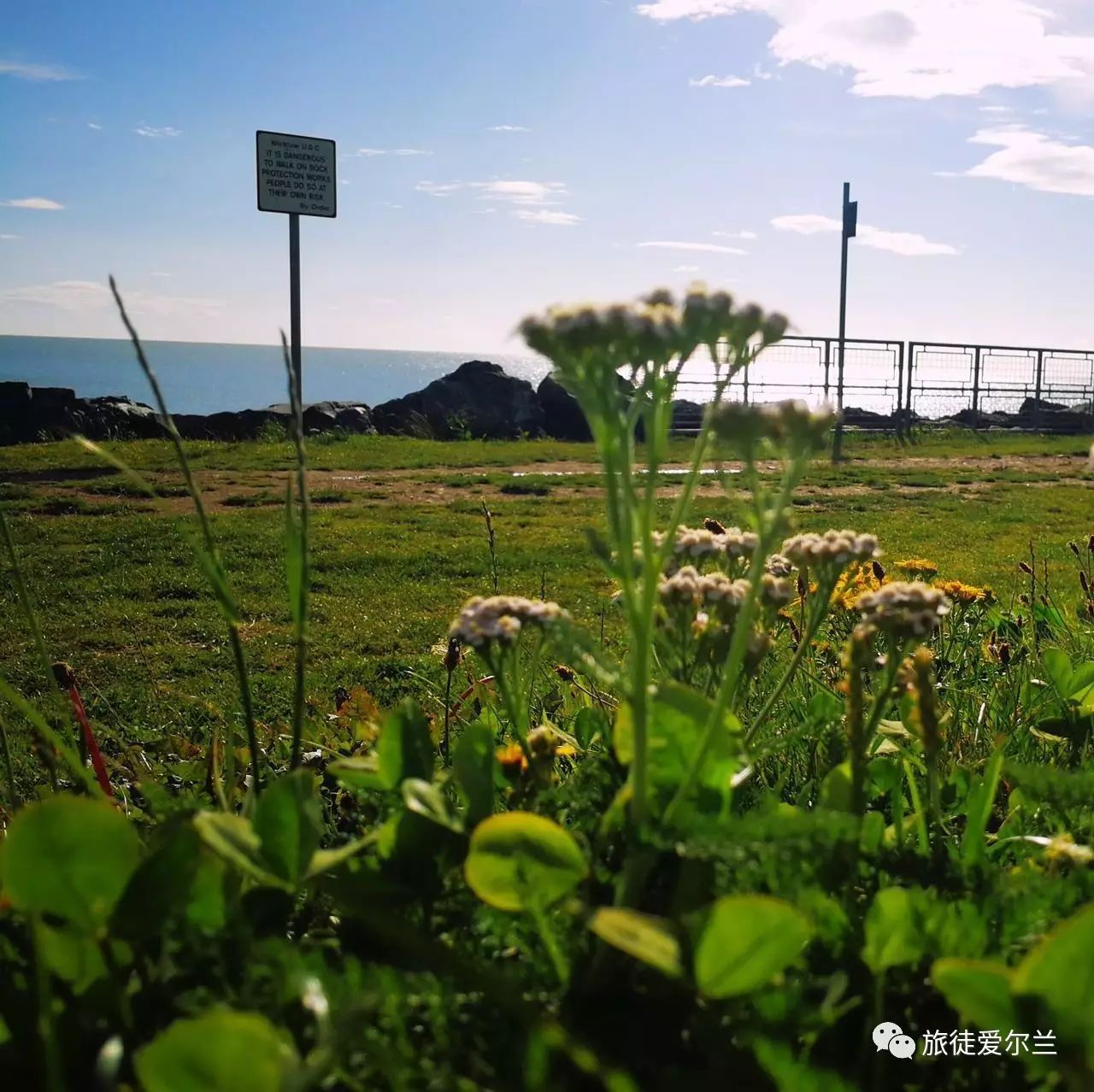 国外旅游拍婚纱照_国外旅游拍婚纱照_国外旅游拍婚纱照