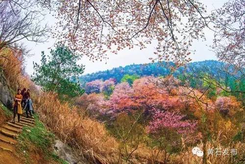 七峰山旅游攻略_峰山好玩吗_峰山风景区