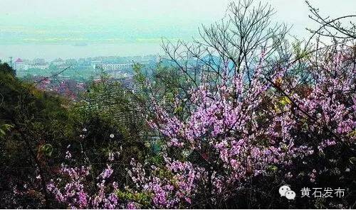 峰山风景区_七峰山旅游攻略_峰山好玩吗