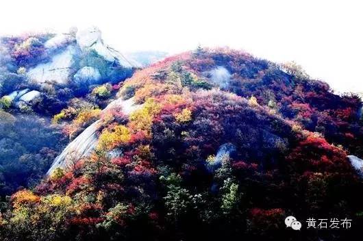 峰山好玩吗_七峰山旅游攻略_峰山风景区