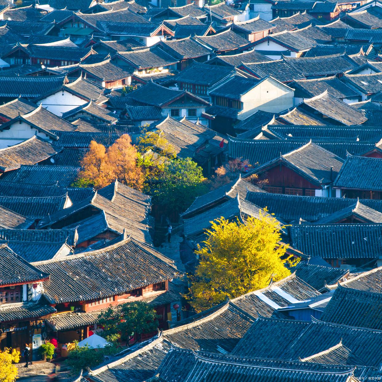 丽江大理版纳旅游需要几天_大理丽江版纳旅游攻略_大理丽江版纳八日游