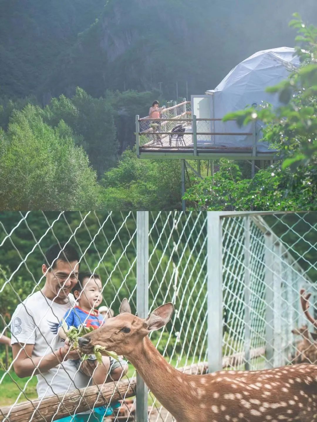 春节北京周边哪好玩_上海周边春节自驾游去哪里好玩_春节期间北京周边好玩的景点