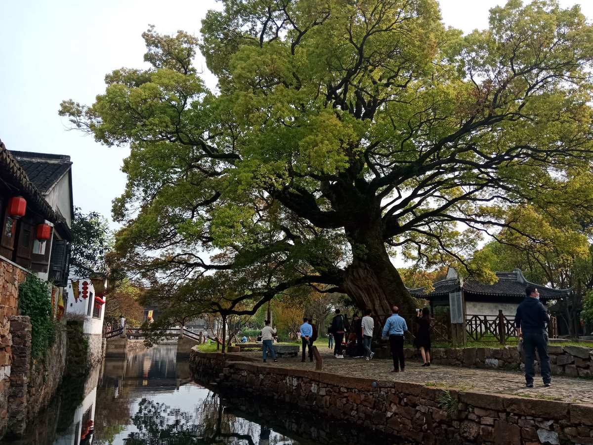 泉州攻略旅游景点_泉州旅游攻略_泉州攻略旅游的地方