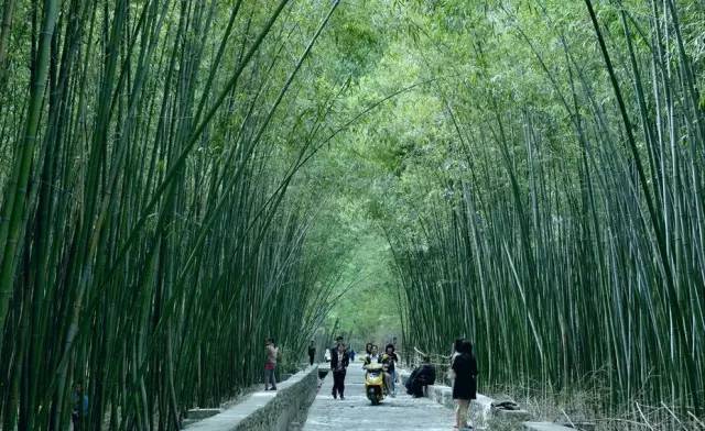 好玩景点焦作有哪些_旅游景点焦作_焦作好玩的景点