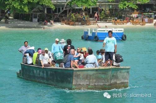 曼谷芭提雅旅游攻略_泰国曼谷芭提雅6日游_泰国曼谷芭堤雅旅游攻略