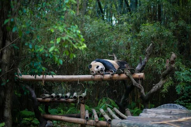 深圳免费景点哪里好玩_广州有什么好玩的免费景点_沈阳哪里好玩免费景点