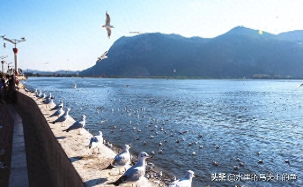 西安到阆中三日游_西安到阆中旅游攻略_西安到阆中沿途景点