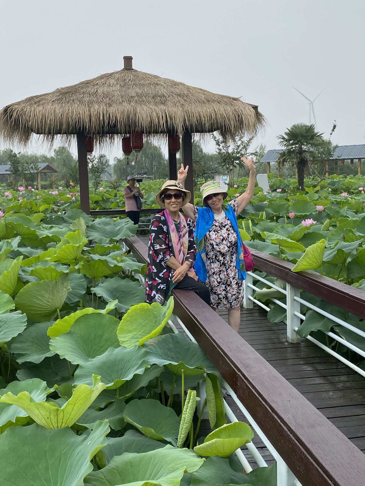 打台球有助于颈椎病吗_大姨妈完了同房后又出血_金湖荷花荡旅游攻略