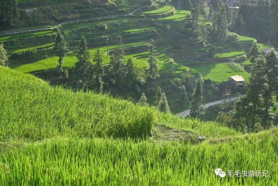 贵州凯里旅游攻略_贵州凯里旅游必去景点_贵州攻略凯里旅游景点推荐