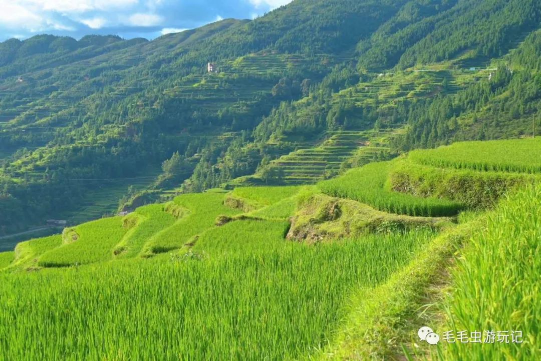 贵州凯里旅游攻略_贵州凯里旅游必去景点_贵州攻略凯里旅游景点推荐