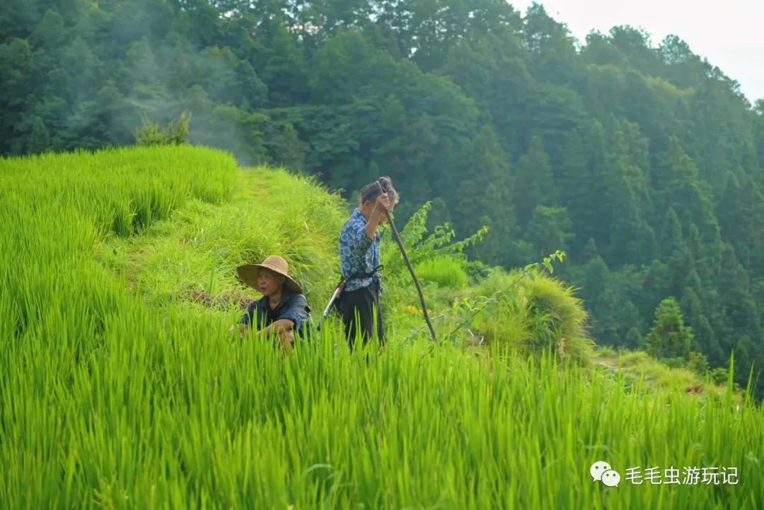 贵州攻略凯里旅游景点推荐_贵州凯里旅游攻略_贵州凯里旅游必去景点