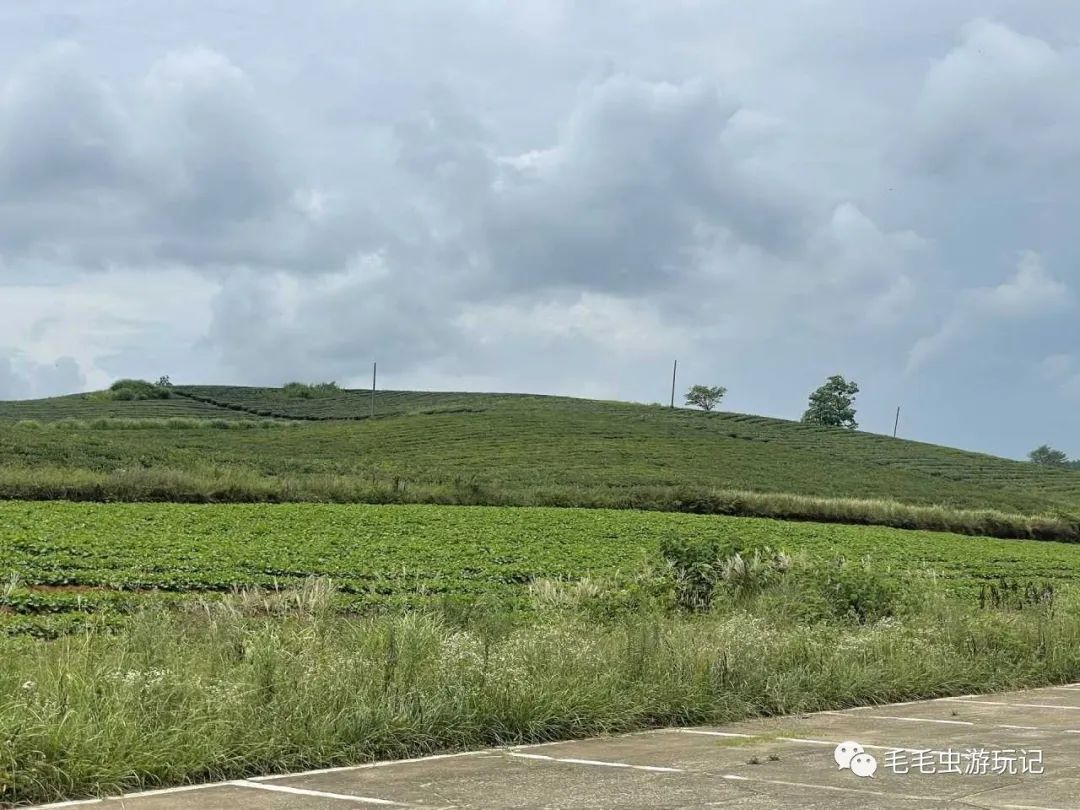 贵州凯里旅游攻略_贵州凯里旅游必去景点_贵州攻略凯里旅游景点推荐