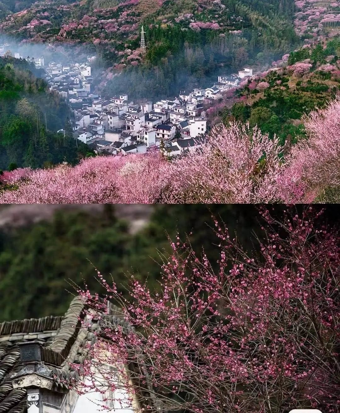 黄山附近著名景点_黄山市附近好玩的景点_黄山附近好玩的景点