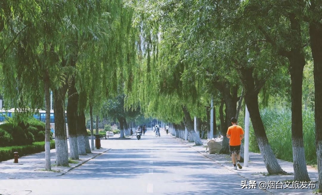 烟台蓬莱岛旅游攻略_烟台蓬莱岛门票_烟台蓬莱岛有什么好玩的推荐