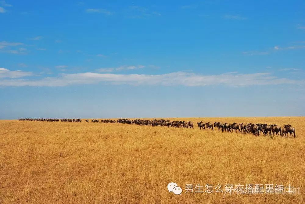 国外结婚旅游_国外结婚旅游去哪里最合适_国外结婚旅游十大圣地