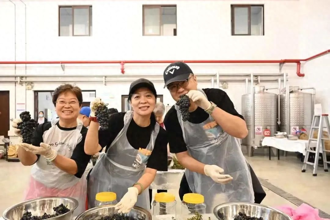 烟台蓬莱岛旅游攻略_烟台蓬莱岛门票_蓬莱岛游玩攻略