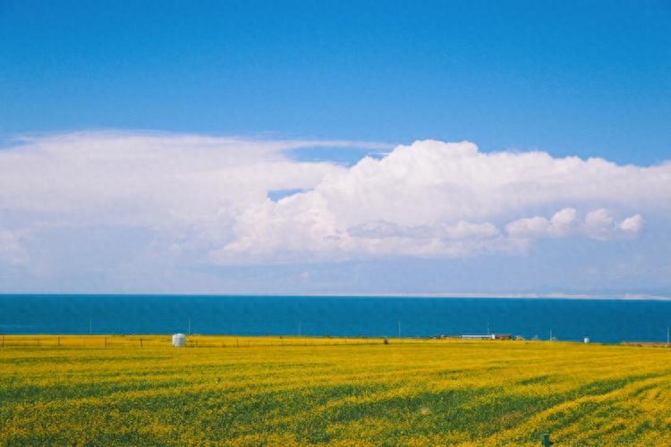 西宁旅游攻略马蜂窝_西宁旅游攻略马蜂窝_马蜂窝青海湖旅游攻略