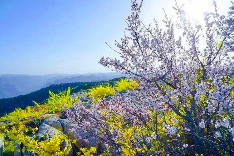 河南辉县郭亮村旅游攻略_河南省郭亮村旅游_自驾游河南郭亮村旅游攻略