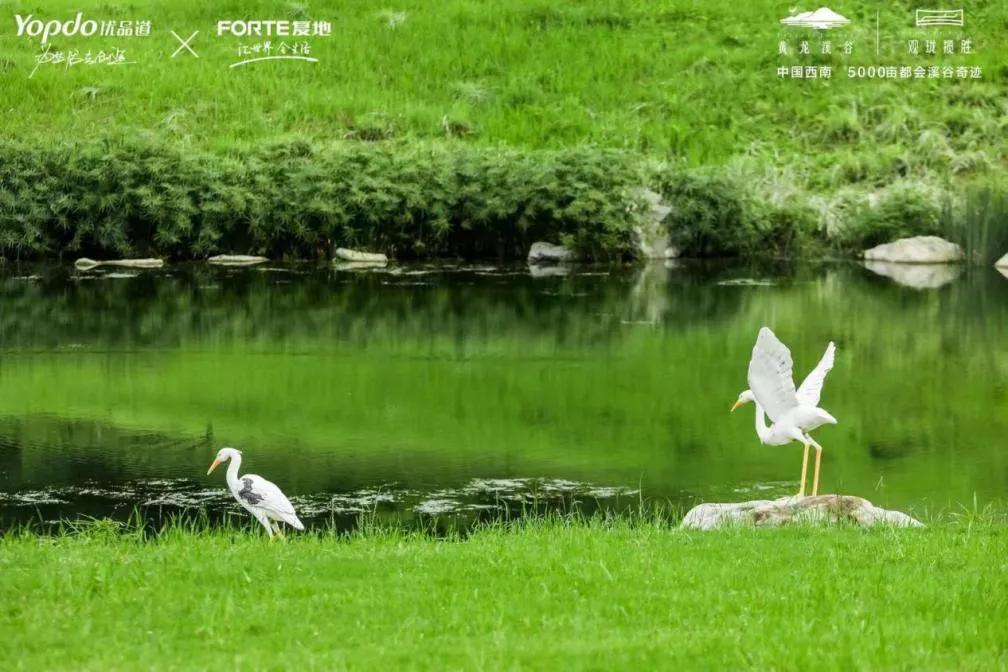 黄龙溪古旅游攻略_九寨沟黄龙旅游攻略_四川黄龙旅游攻略