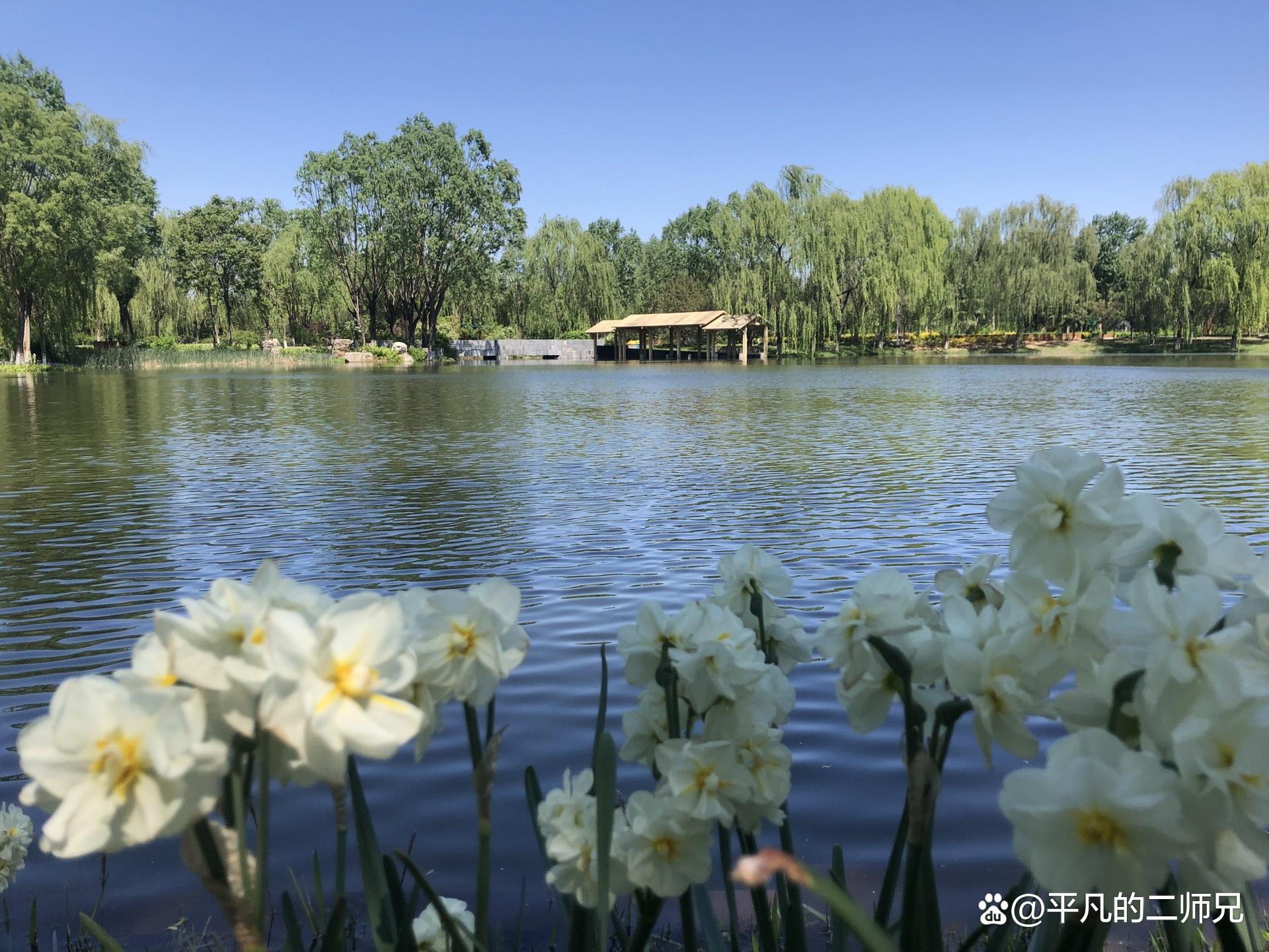 好玩石家庄景点有哪些_石家庄值得玩的景点_石家庄好玩的景点