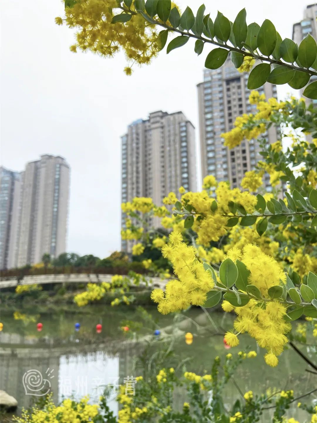 福州市区好玩的景点_福州市区有什么好玩的景点_福州市内的景点