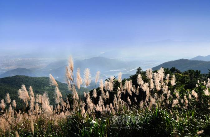 漳州市景点哪个地方比较好玩_东莞塘厦附近好玩景点_东莞好玩的景点地方