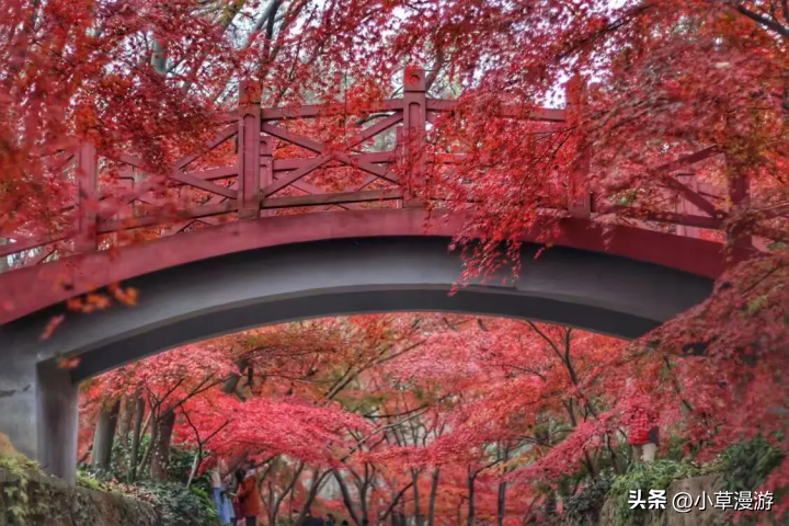 温州周边哪里好玩景点排名_南京周边好玩的景点_周末广州周边好玩景点