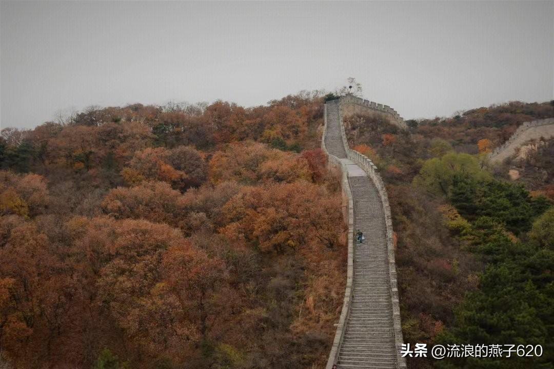 八达岭野生动物园旅游攻略_长城旅游八达岭_八达岭长城旅游攻略 八达岭长