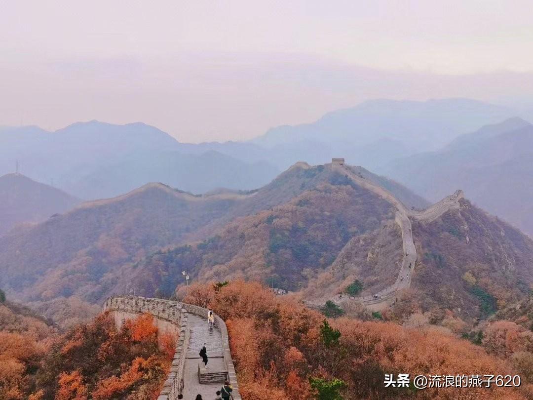 八达岭野生动物园旅游攻略_长城旅游八达岭_八达岭长城旅游攻略 八达岭长