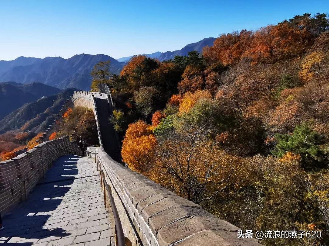 长城旅游八达岭_八达岭野生动物园旅游攻略_八达岭长城旅游攻略 八达岭长