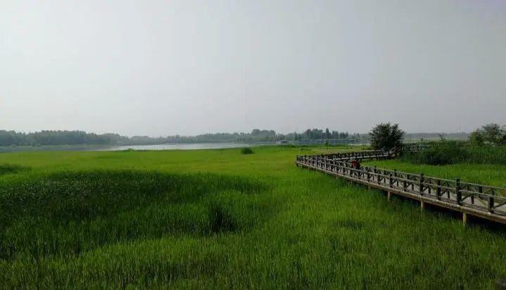 野鸭湖游玩_野鸭湖好玩吗_野鸭湖旅游攻略