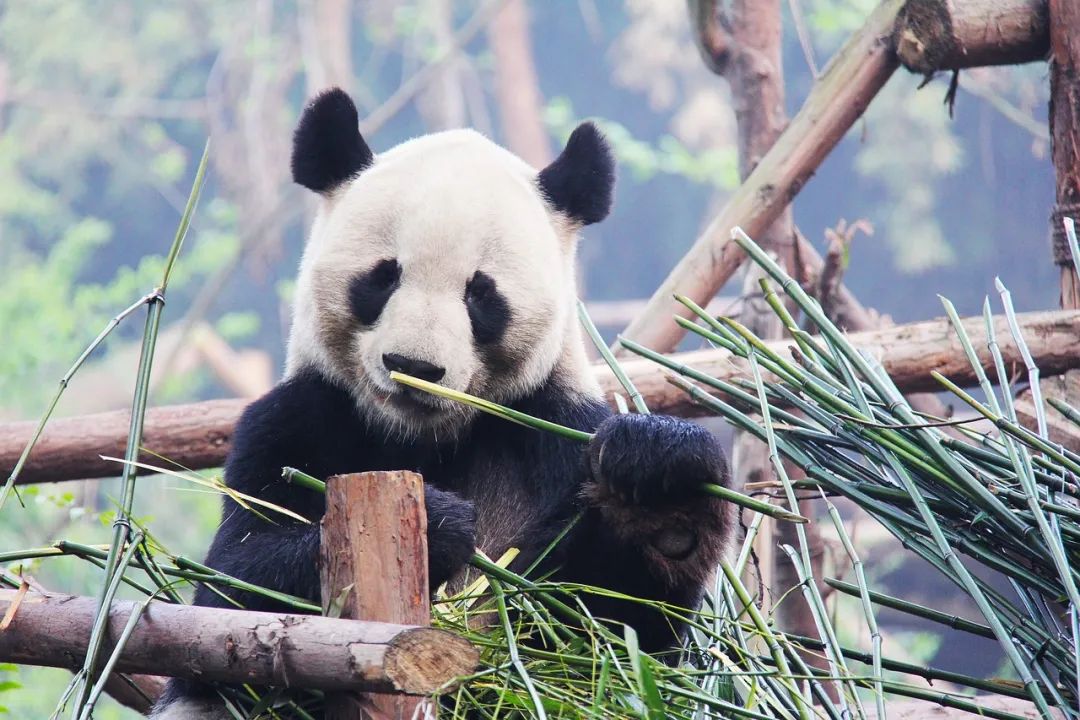 上海有什么好玩的景点_上海好玩的景色_好玩上海景点有哪些地方