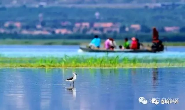 攻略湖野鸭旅游路线_野鸭湖旅游攻略_野鸭湖野餐