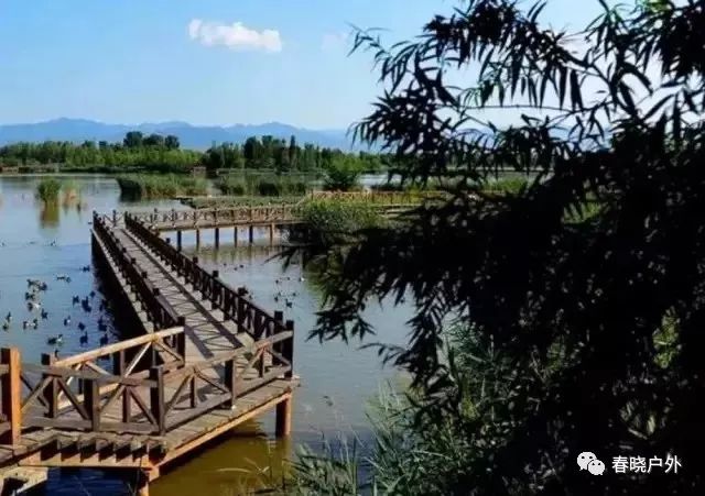 野鸭湖旅游攻略_攻略湖野鸭旅游路线_野鸭湖野餐