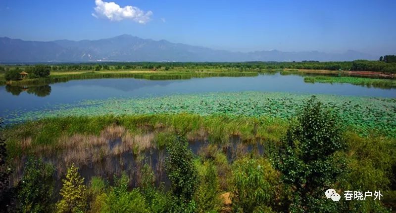 野鸭湖野餐_野鸭湖旅游攻略_攻略湖野鸭旅游路线