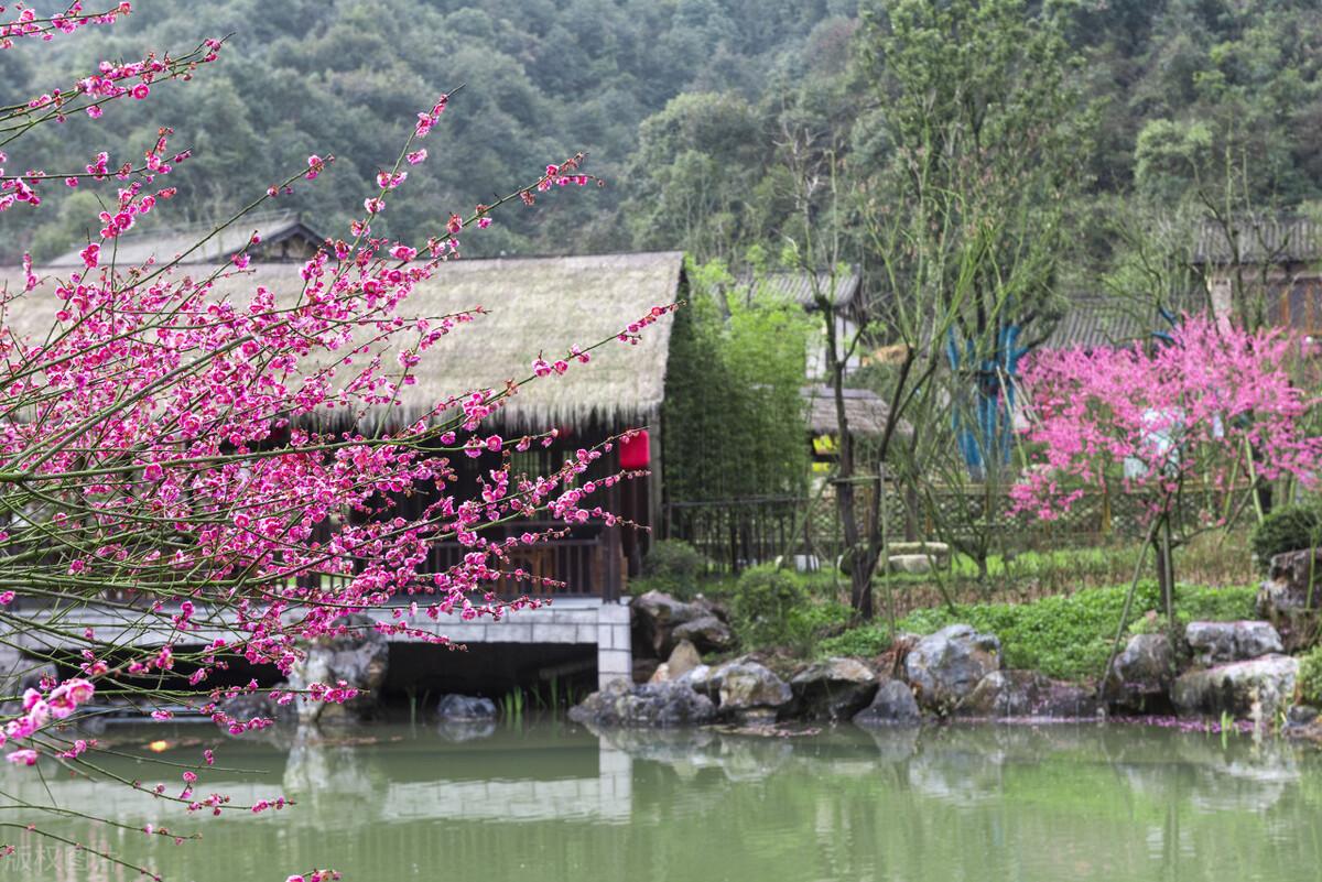 江西好玩的景点_好玩景点江西有几个_江西好玩景区