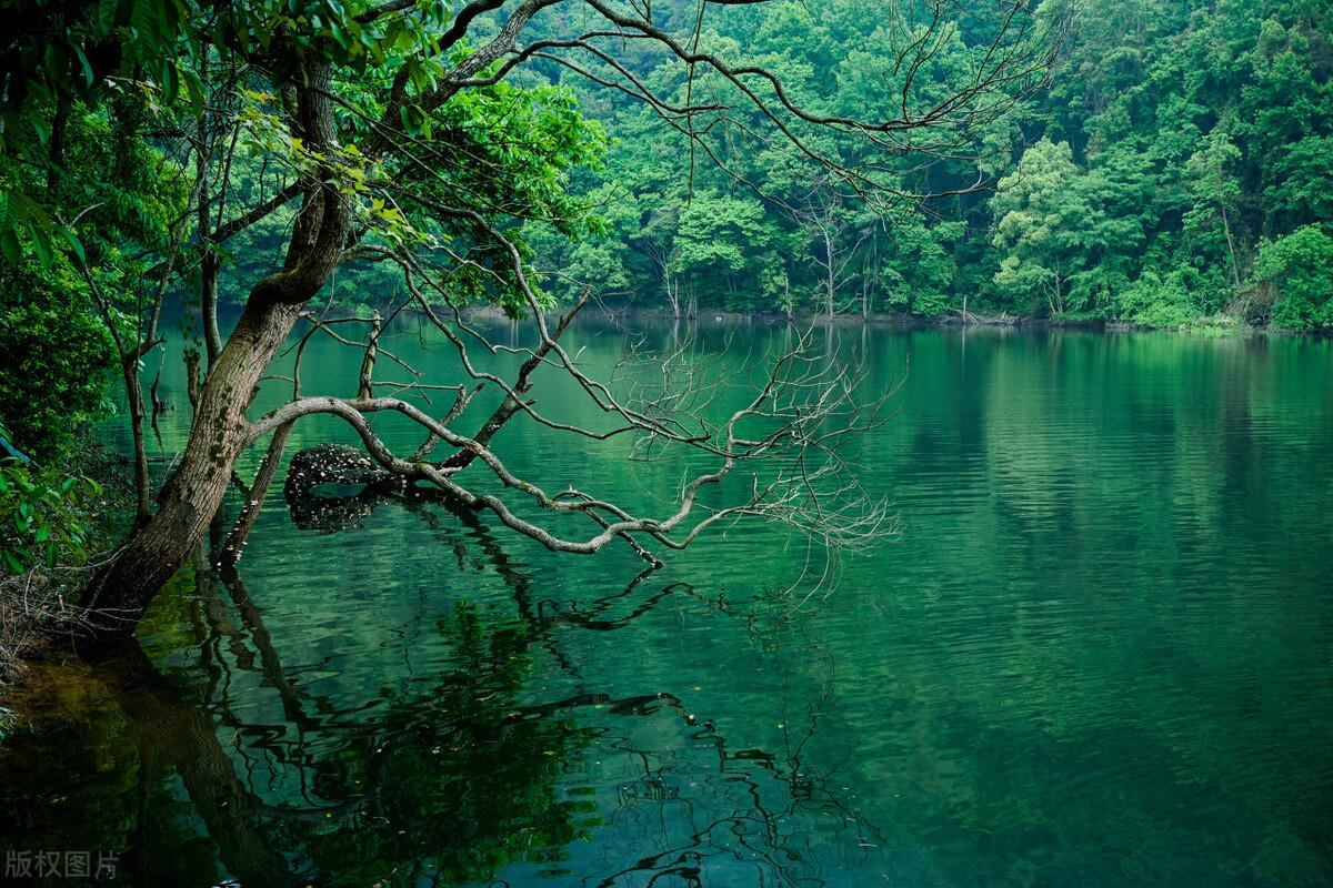 好玩景点江西有几个_江西好玩景区_江西好玩的景点