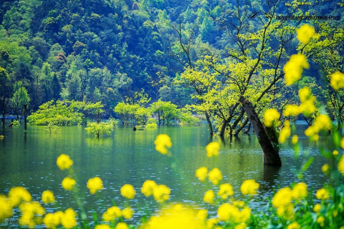 好玩景点江西有几个_江西好玩的景点_江西好玩景区