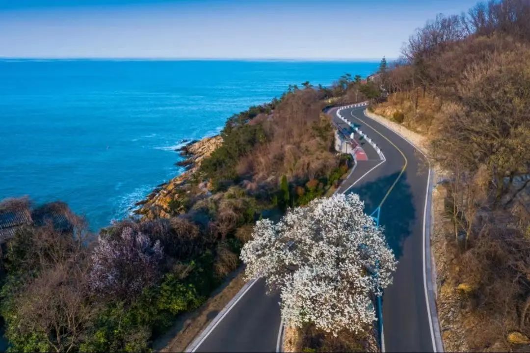 连云港花果山旅游攻略_连云港花果山一日游攻略_连云港旅游花果山门票