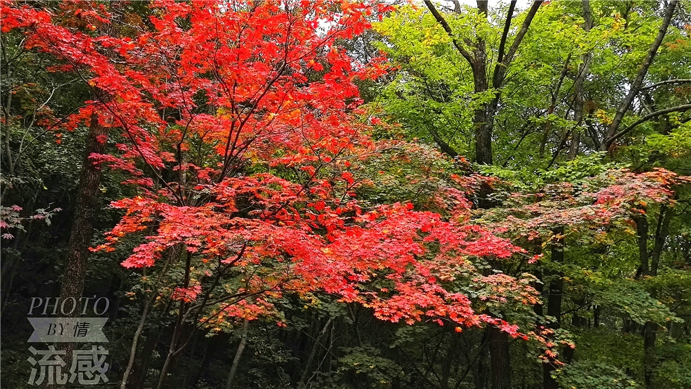 本溪好玩的景点_本溪游玩景点_好玩景点本溪有哪些