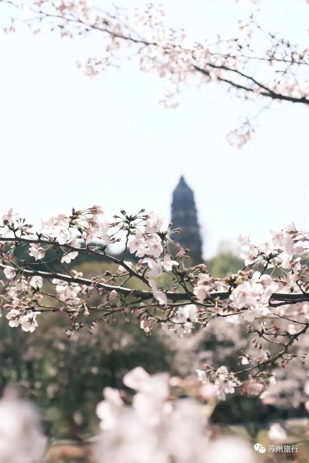 苏州攻略旅游景点推荐_苏州攻略旅游景点大全_苏州 旅游攻略