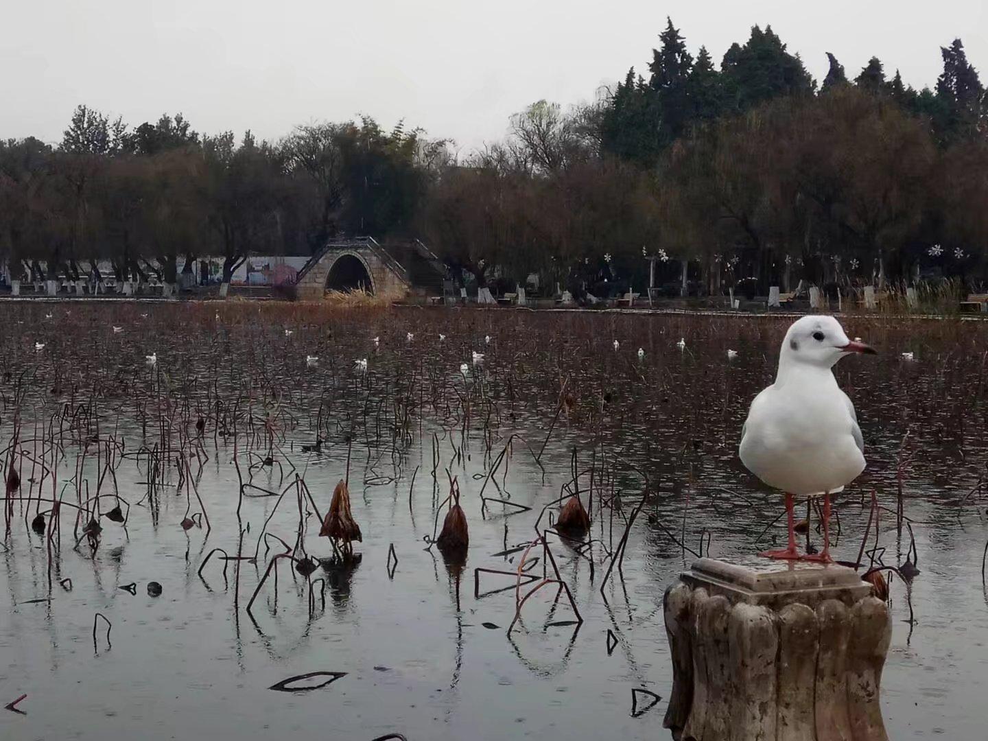 出国旅游背包_出国旅游背包_出国旅游背包