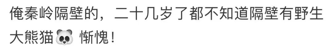 大熊猫去国外的视频_大熊猫去国外旅游小故事_大熊猫走出国门的故事