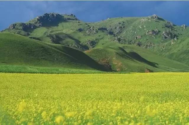 景点推荐旅游景点排名_国内旅游景点大全排名_景点旅游排行榜