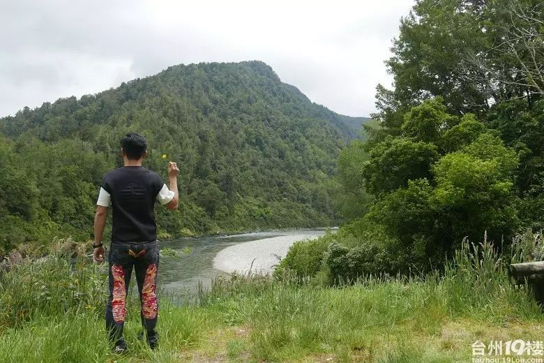 去新西兰旅游，去一次雪绿茶博物馆，一场说走就走的旅行