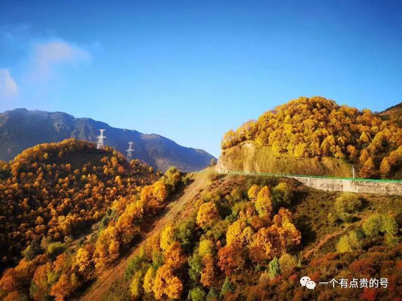 出国国庆旅游好去吗现在_国庆出国旅游哪里便宜_国庆出国旅游去哪好