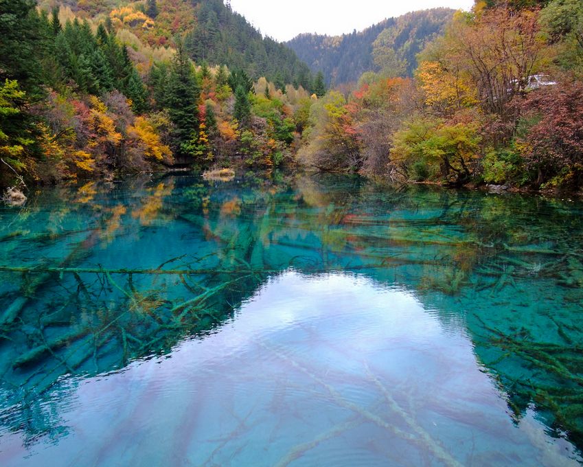 九寨黄龙旅游攻略_黄龙旅游攻略黄龙景图_九寨沟黄龙旅游攻略